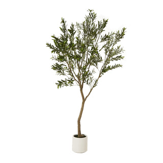 Plain front-on product shot of the artificial olive tree in a white cylindrical planter.