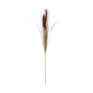 Plain front-on studio shot of the triple ruby grass decorative accent.