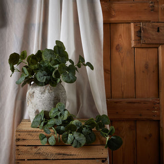 Artificial eucalyptus bunch in a textured vase on a wooden crate, against a sheer curtain and rustic door.