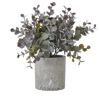 Artificial eucalyptus cinerea plant with dusty green leaves in a cylindrical grey textured pot.
