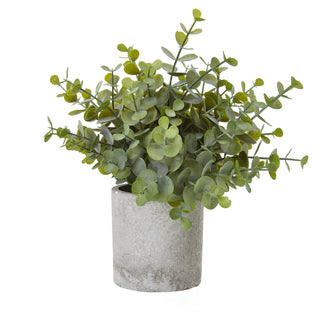 Artificial button eucalyptus plant with green leaves in a textured cylindrical grey pot. Plain front-on studio shot.