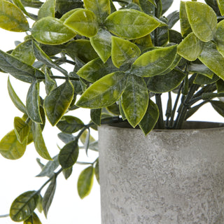Close-up detail of the artificial green box plant foliage and the textured surface of the cylindrical grey pot.