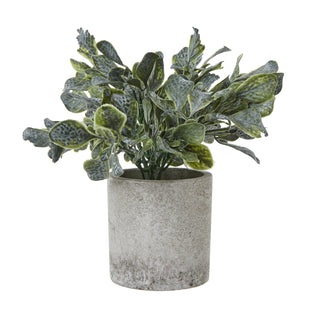 Small artificial eucalyptus plant with variegated leaves in a textured grey cylindrical pot.