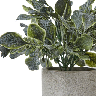 Close detail of the artificial eucalyptus leaves showing dusty texture and the rim of the grey pot.