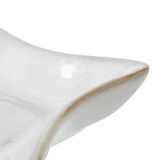 Detail shot showing the textured edge of the white ceramic star dish against the smooth glazed surface.