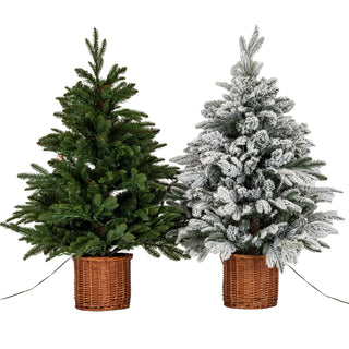The flocked fir tree shown beside an unflocked green fir tree, both in woven brown rattan pots.