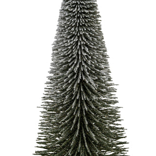 Close up detail of the dark green bottle brush texture and white frosted tips.