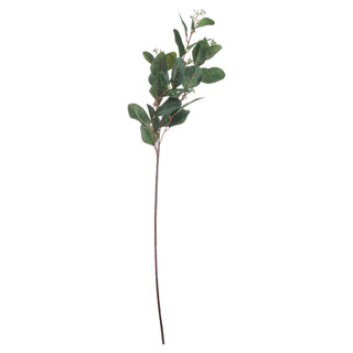 Full view of the artificial eucalyptus stem against a plain white studio background.