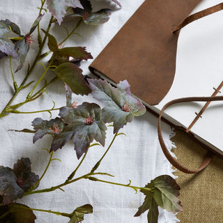 Variegated maple leaves with dark green and purple tones, next to a leather notebook.