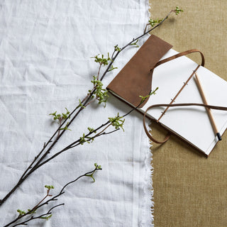 Vibrant green berry willow stems styled on white linen next to an open brown leather sketchbook and pencil.