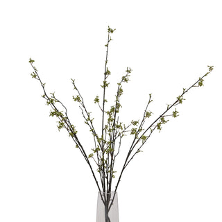 Plain front-on shot showing several dark willow stems with green buds in a clear vase.