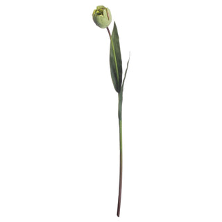 Full length view of the artificial green tulip stem and closed bud.