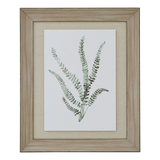Plain front-on view of the watercolour fern print in a light wood frame with a textured beige mount.