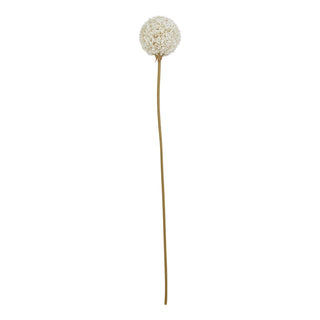 Plain front-on product shot of the artificial white allium single stem with a large spherical flower head.