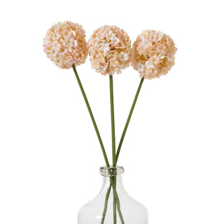 Three apricot and white artificial allium stems arranged in a clear glass bottle against a white background.