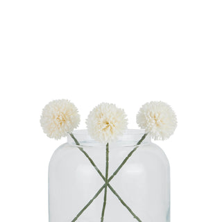 Three white chrysanthemum stems arranged in a large, clear glass jar on a plain background.