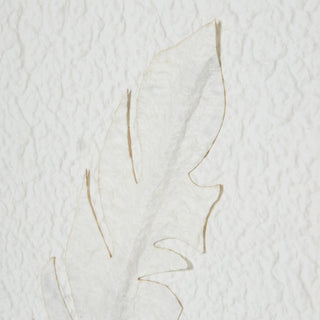 Close-up detail of the white paper feather against the textured, crinkled white background paper.