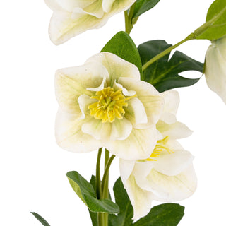 Close detail of the artificial white hellebore bloom showing the yellow centre.