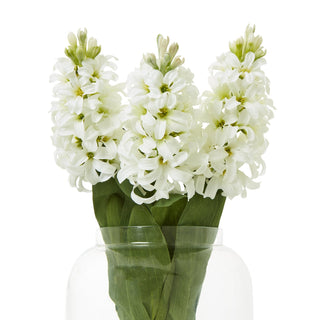 Three artificial white hyacinth flower spikes grouped in a clear glass vase.