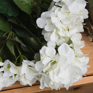 Close-up detail of white hydrangea flower heads and green foliage on a wooden surface.