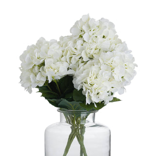 White hydrangea bouquet displayed in a clear glass vase against a white background.