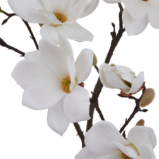 Detail shot of the artificial white magnolia flowers, showing the yellow centres, dark branches, and velvety brown buds.