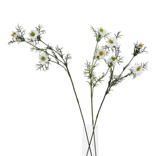 Three artificial white nigella stems displayed in a clear vase against a white background.
