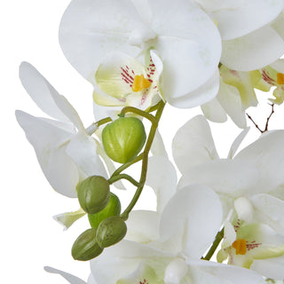 Close-up of artificial white orchid blooms, green buds, and ribbed seed pod.