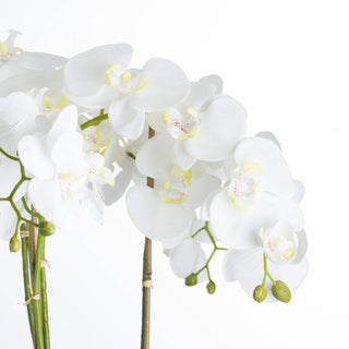 Detail shot of the faux white orchid flowers and buds, highlighting the texture and colouration.