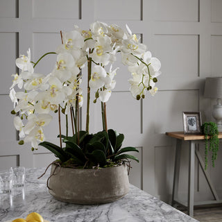 Faux white orchid in a stone pot displayed on a marble countertop against a grey panelled wall in a room setting.