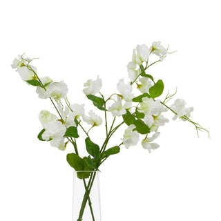 White sweetpea stems arranged in a clear glass vase. Studio shot.