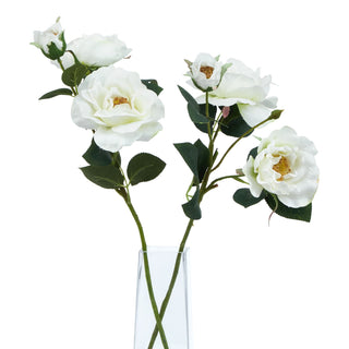 Two white artificial rose stems with blooms and buds displayed in a clear glass vase on a white background.