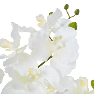 Artificial white orchid flowers in close-up, showing petal texture and small green buds.