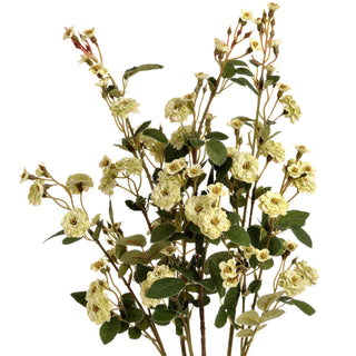 Artificial green meadow rose bloom featuring many small pale yellow-green flowers and buds on thin stems.