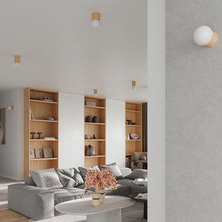 Wall lamp mounted on a textured grey wall in a modern living room with wood shelving and matching ceiling lights.