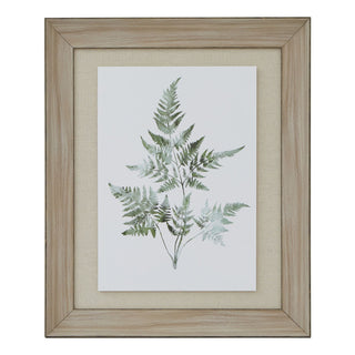 Plain front-on product shot of fern watercolour art in a light wood frame with a wide beige fabric-look mount.